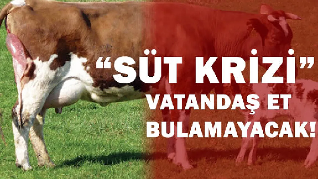 Süt Krizi Devam Ediyor