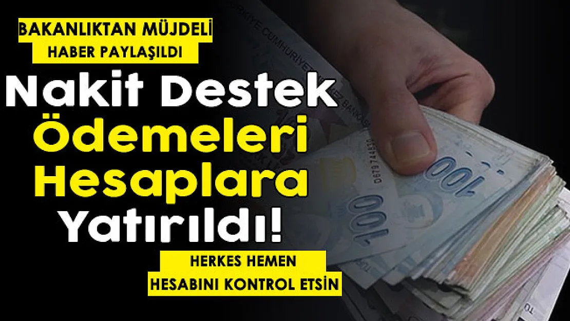T. C. Kimlik Numarasına göre nakit paralar hesaplara yatırıldı! Herkes kontrol etsin: Bakanlık müjdeli haberi duyurdu