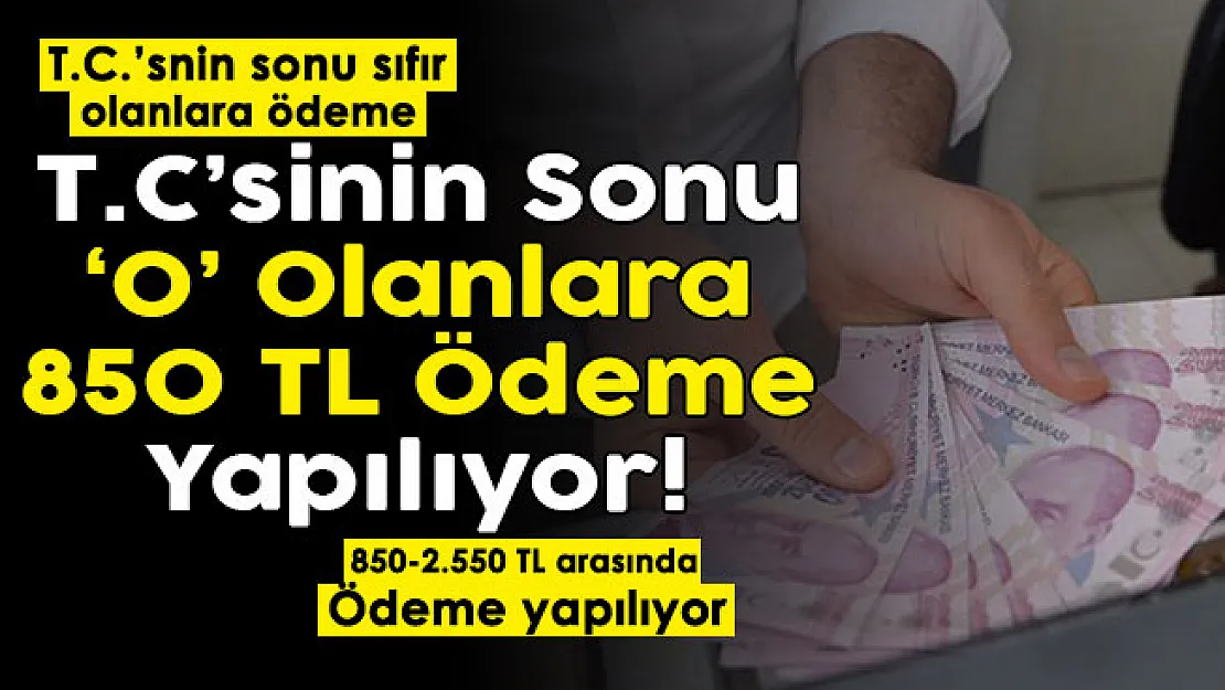 T. C. Kimlik Numarasının sonu '0' olanlara müjde! 850 TL ile 2.550 TL arasında para ödeniyor