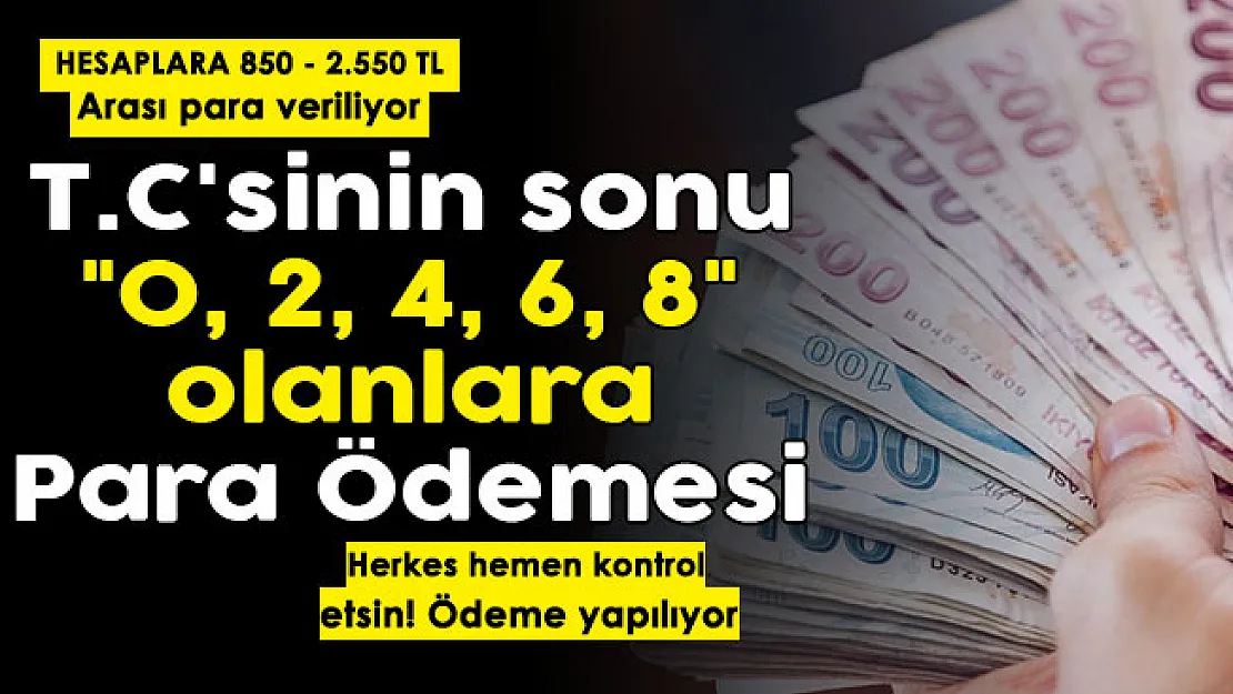 T. C.'sinin sonu '0, 2, 4, 6, 8' olanlara 850 TL - 2.550 TL para yatırılıyor! Herkes kontrol etsin: Ödemeler yapılıyor