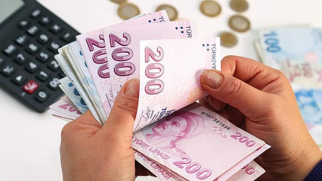 T.C sonu '0,2,4,6,8' olanlara duyuru yapıldı! Paralar hesaplara yatırıldı: Herkes parasını gecikmeden alsın