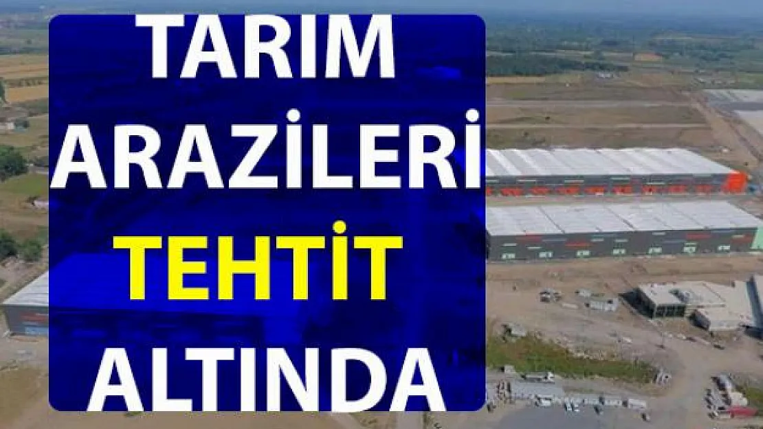Tarım arazisine inşa edilen 'Lojistik Köy' projesine mahkeme engeli