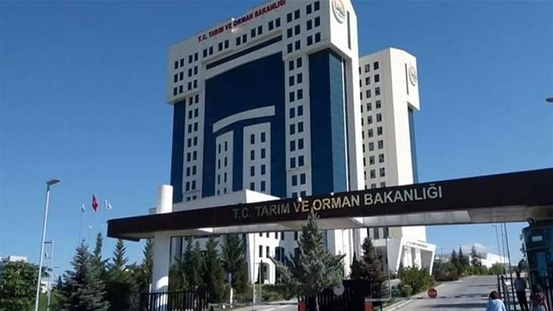 Tarım Bakanlığı 100 kamu personeli alımı açıklandı! Başvuru tarihi ve şartları...