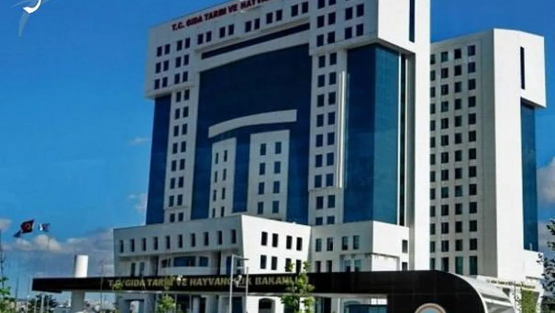 Tarım Bakanlığı Çözümleyici ve Programcı Soru ve Cevapları Yayımlandı