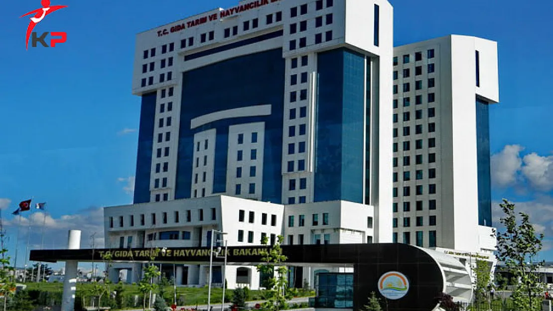 Tarım Bakanlığı Dönem İçi Atama Tercihleri Başladı