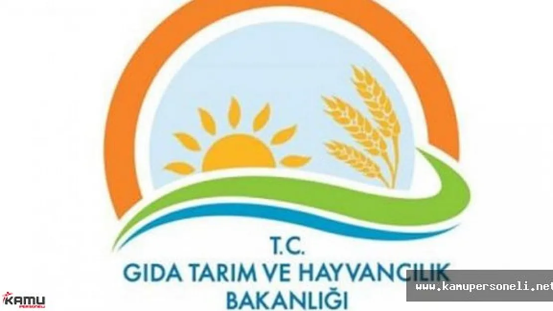 Tarım Bakanlığı Dönem Tayinlerinde Yabancı Dil Şartı Kaldırıldı