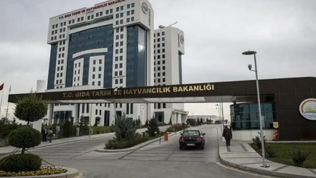 Tarım Bakanlığı Duyuru Yayımladı- Şehit ve Malul Yakınlarının Açıktan Atanabilmesi için İstenilecek Belgeler Belli Oldu
