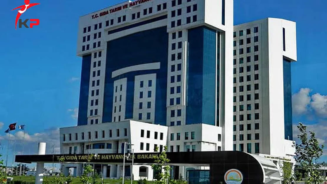 Tarım Bakanlığı (GTHB) 3 Bin 500 Kamu Personeli Alımı İçin İlan Bekleniyor