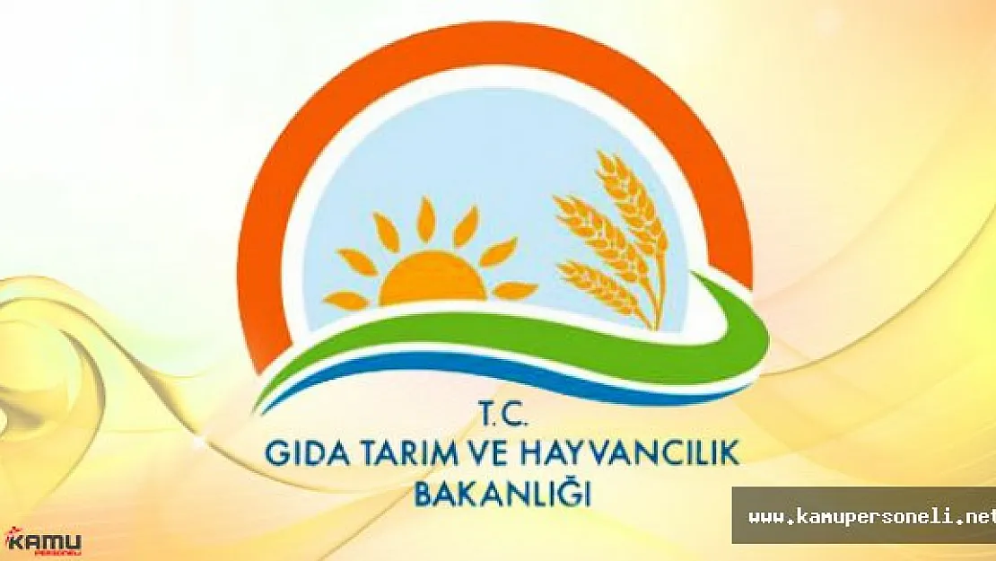 Tarım Bakanlığı Kurum İçi Atama Başvuruları Başladı