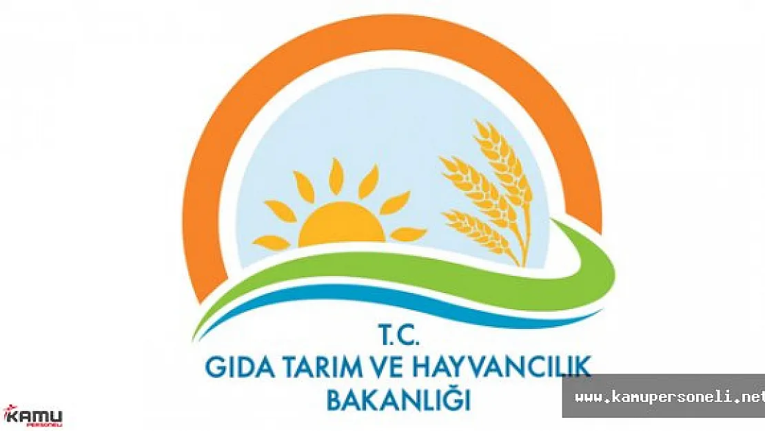 Tarım Bakanlığı Lise Mezunu Personel Alımı Başvuruları Sona Eriyor