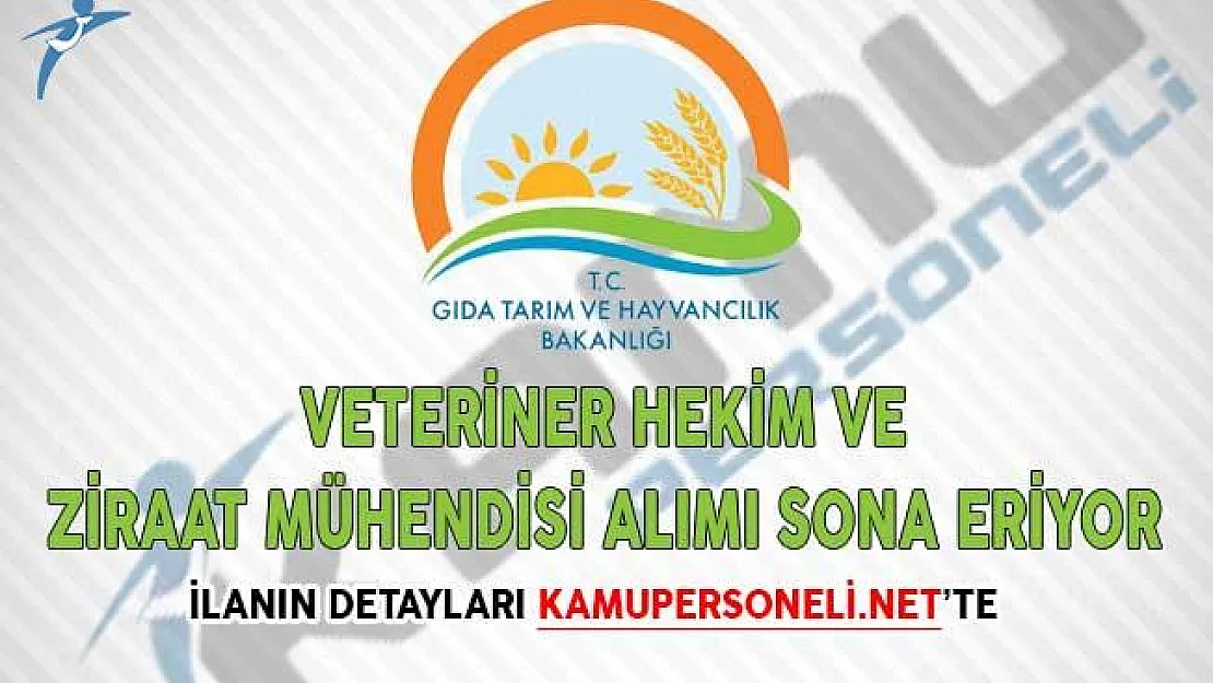 Tarım Bakanlığı Veteriner Hekim ve Ziraat Mühendisi Alımı Sona Eriyor