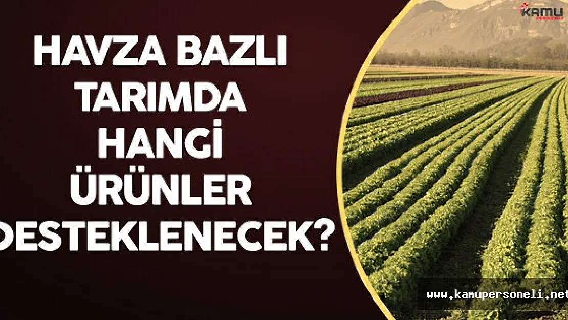 Tarım Havzalarında Hangi Ürünler Destek Alacak? Sorusu Yanıt Buldu!