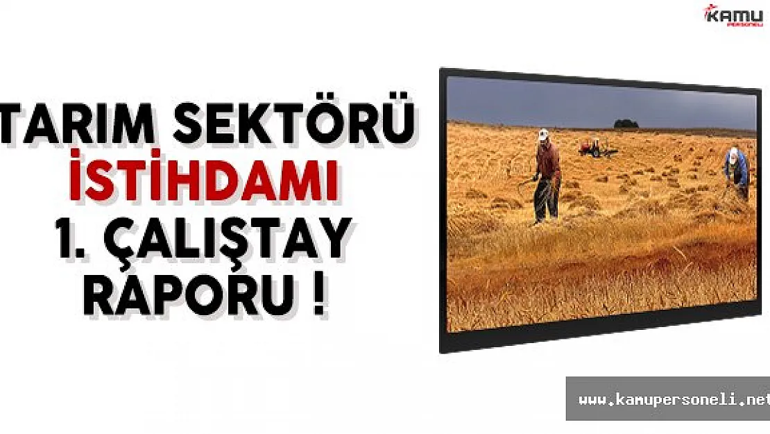 Tarım Sektörü İstihdamı 1. Çalıştay Raporu