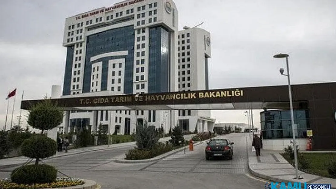 Tarım ve Orman Bakanlığı 2019 Dönem Tayin Sonuçları ve Puanları Açıklandı!