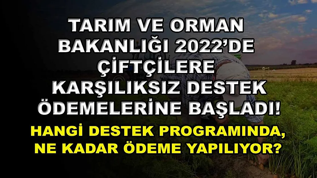 Tarım ve Orman Bakanlığı 2022'de çiftçilere karşılıksız destek ödemelerine başladı! Hangi destek programında, ne kadar ödeme yapılıyor?