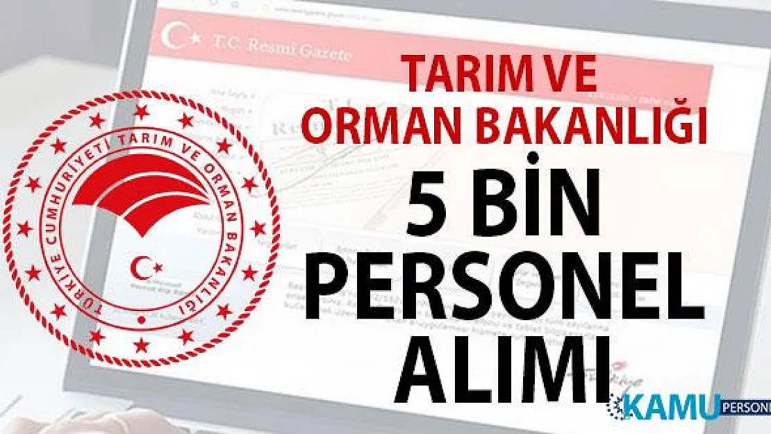 Tarım ve Orman Bakanlığı 5 bin personel alımı : Orman muhafaza memuru, mühendis ve sözleşmeli personel