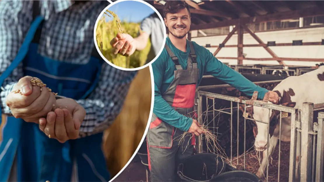 Tarım ve Orman Bakanlığı açıkladı! Kırsal Kalkınmada Uzman Eller Projesi için ek süre tanındı!
