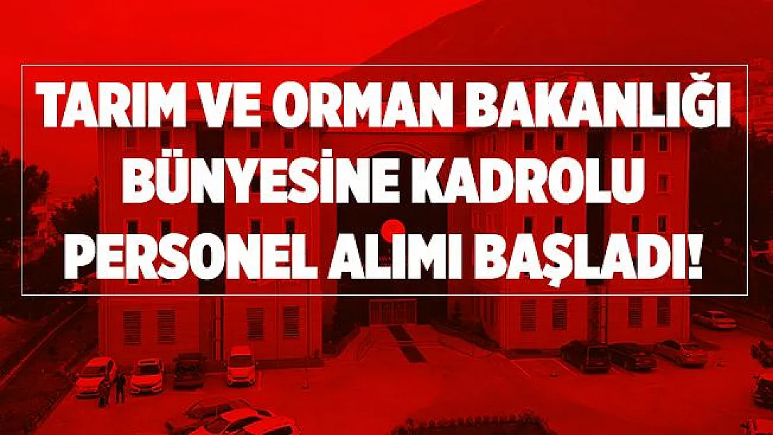 Tarım ve Orman Bakanlığı bünyesine kadrolu personel alımı başladı! Lise mezunu adaylar dikkat!