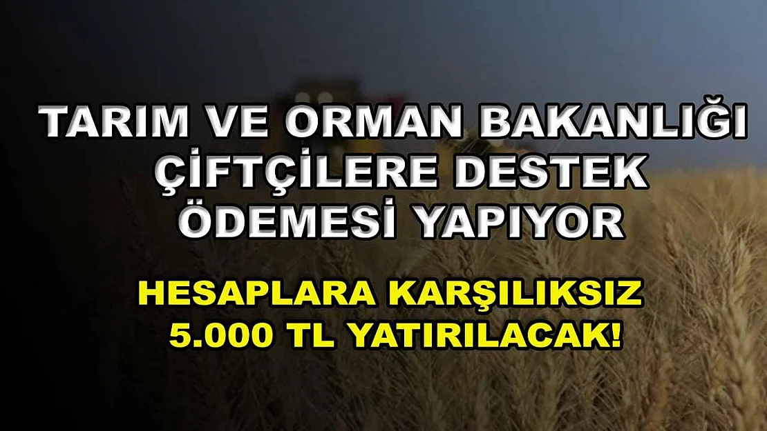 Tarım ve Orman Bakanlığı çiftçilere destek ödemesi yapıyor: Hesaplara karşılıksız 5.000 TL yatırılacak!