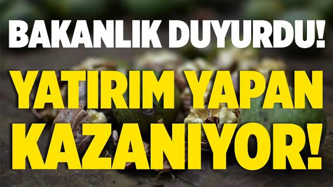 Tarım ve Orman Bakanlığı duyurdu! Bu üç ürüne yatırım yapan kazanıyor!