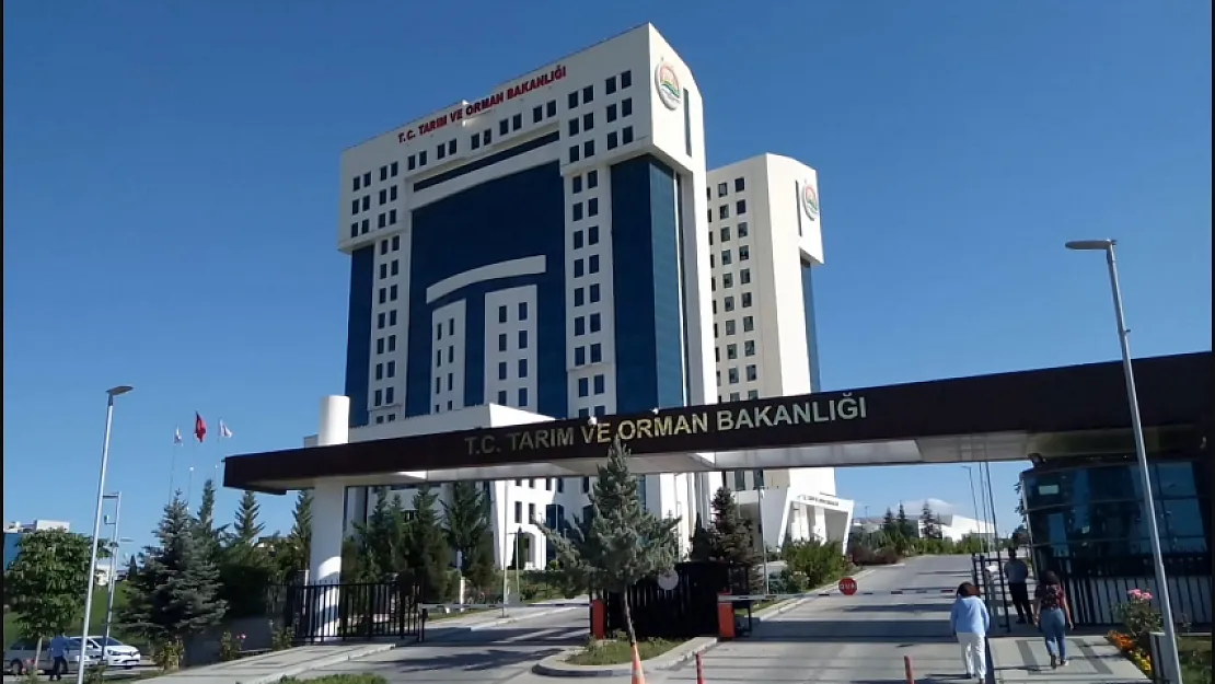 Tarım ve Orman Bakanlığı KPSS şartsız işçi alımı yapıyor! Başvurular 7 Mayıs'ta son!