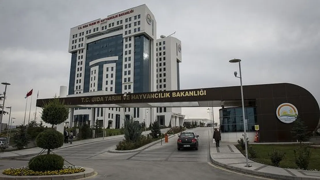 Tarım ve Orman Bakanlığı KPSS'siz işçi alıyor: Başvurular devam ediyor! En az ilkokul mezunu olmak gerekiyor