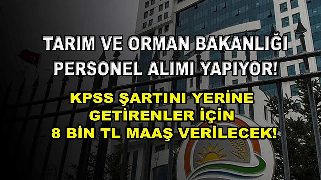 Tarım ve Orman Bakanlığı Personel Alımı Yapıyor! KPSS Şartını Yerine Getirenler İçin 8 Bin TL Maaş Verilecek!