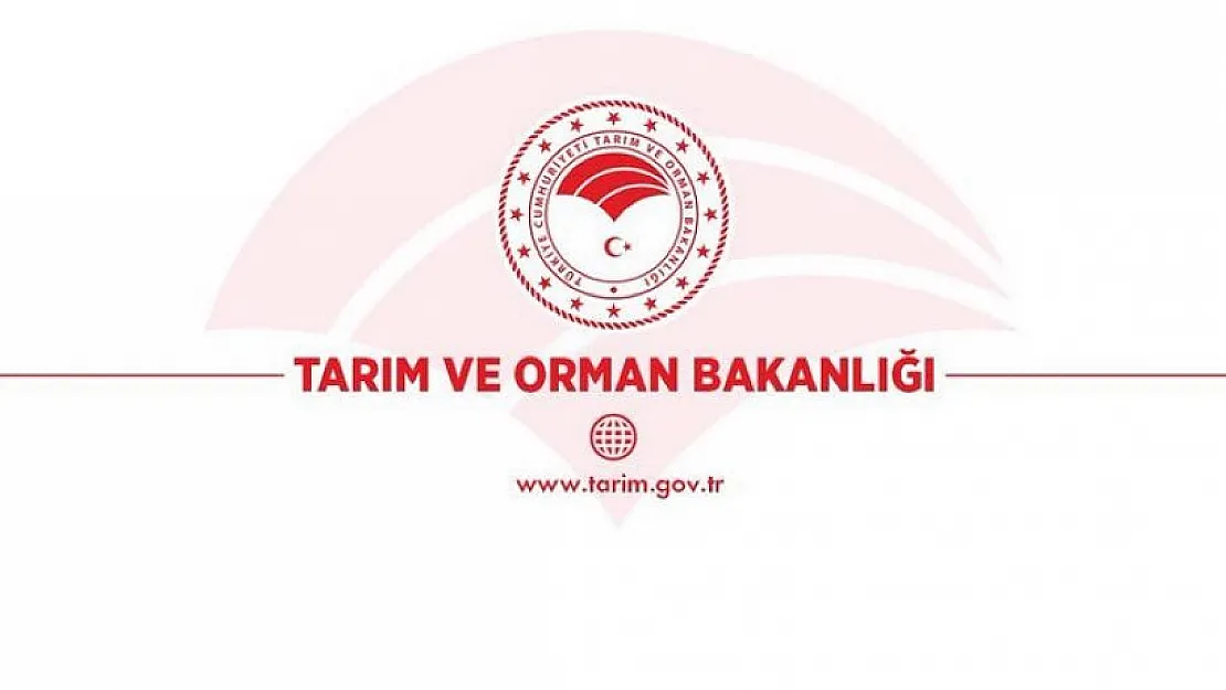 Tarım ve Orman Bakanlığı personel alımı yapıyor! Resmi Gazete'de yayımlandı: İşte kadro dağılımı