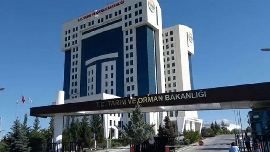 Tarım ve Orman Bakanlığı personel alımına başladı: 1.200 kişi bakanlığa alınacak! Lise, ön lisans ve lisans mezunları dikkat