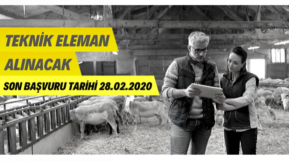 Tarım ve Orman Bakanlığı tarafından ortak yürütülen projeye teknik personel alımı yapılacak!