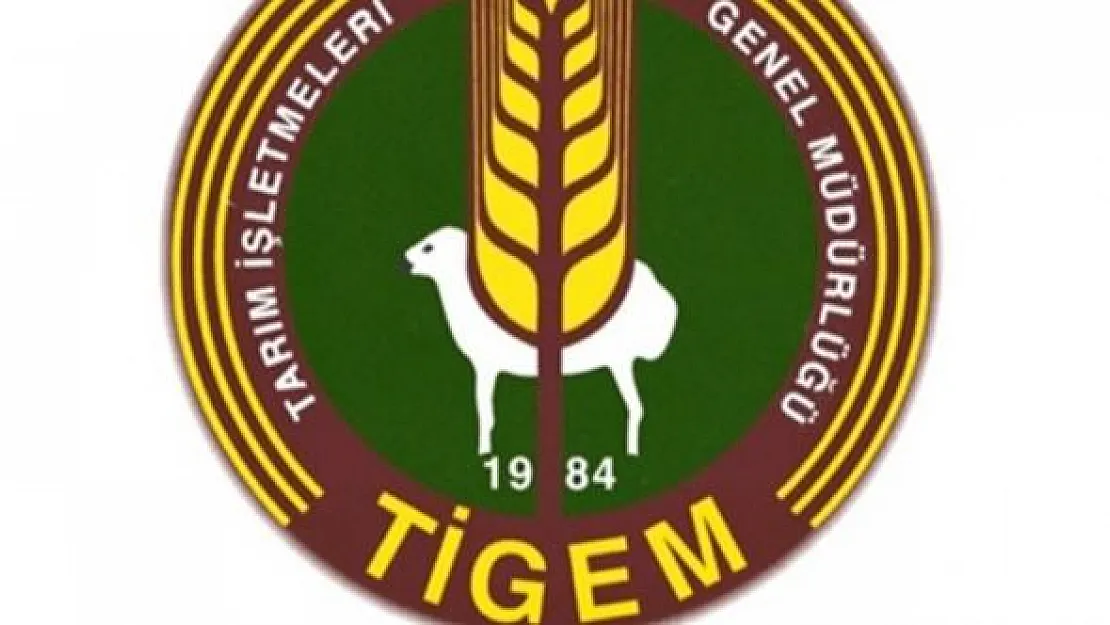 Tarım ve Orman Bakanlığı TİGEM Kamu Personeli Alımı Yapıyor