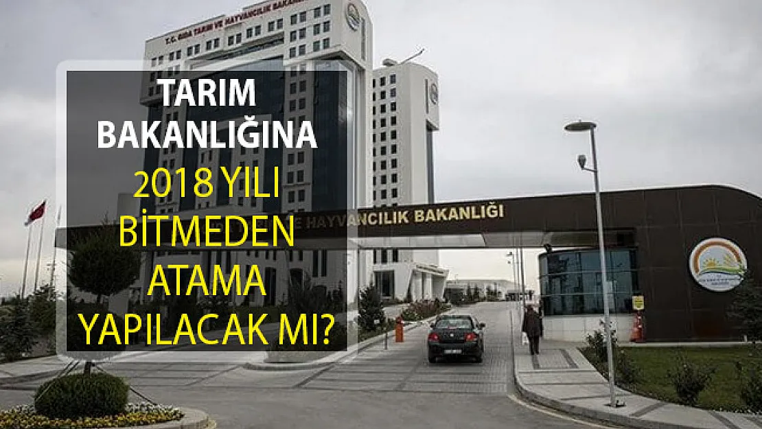 Tarım ve Orman Bakanlığına 2018 Yılı Bitmeden Atama Yapılacak Mı?
