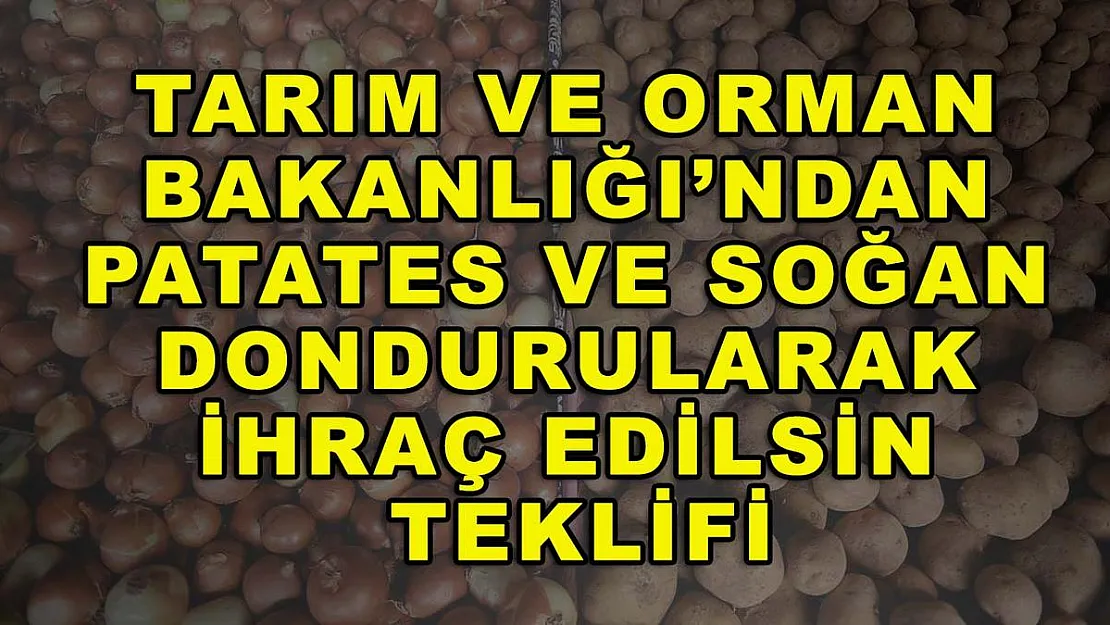 Tarım ve Orman Bakanlığı'ndan patates ve soğan dondurularak ihraç edilsin teklifi