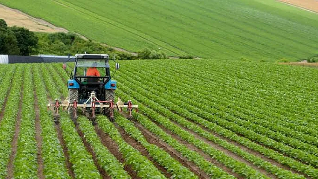 Tarımla Uğraşan Çiftçilere Müjdeli Haber Ödemeler Başladı
