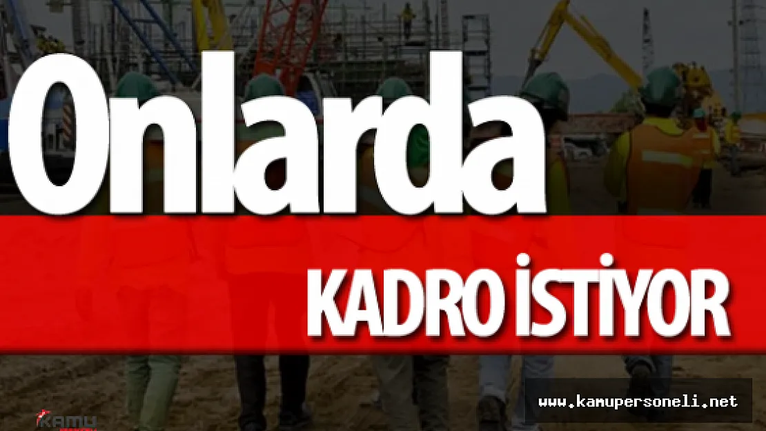 Taşeron Son Dakika: 1 Kasım Sonrası İşe Giren Taşeron Kadro İstiyor