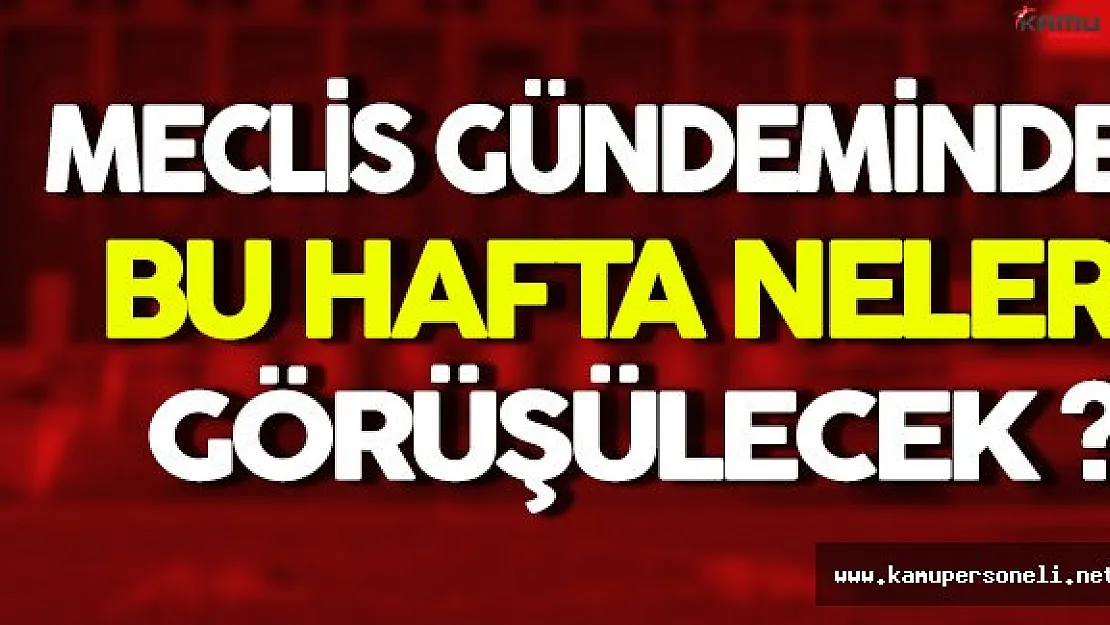 TBMM Gündeminde Bu Hafta Neler Görüşülecek ?