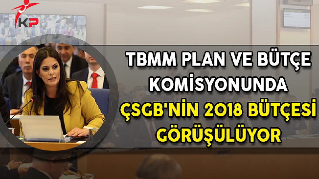 TBMM Plan ve Bütçe Komisyonunda ÇSGB'nin 2018 Bütçesi Görüşüldü
