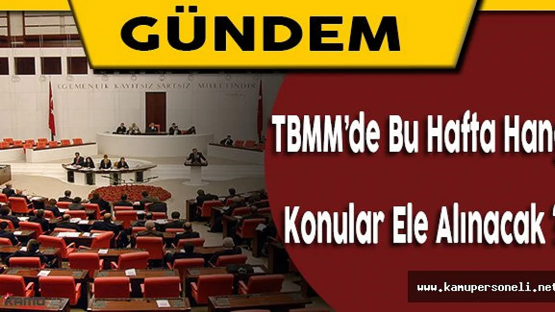 TBMM'nin Bu Haftaki Gündeminde Neler Var ?