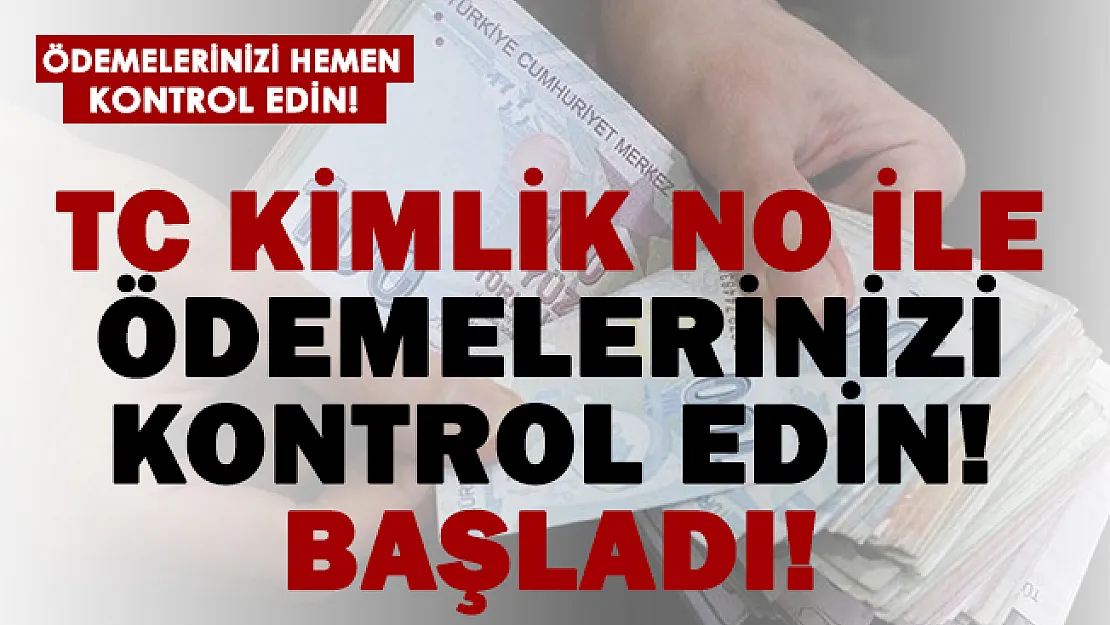 TC kimlik numaranızla ödemelerinizi kontrol edin! Başladı!