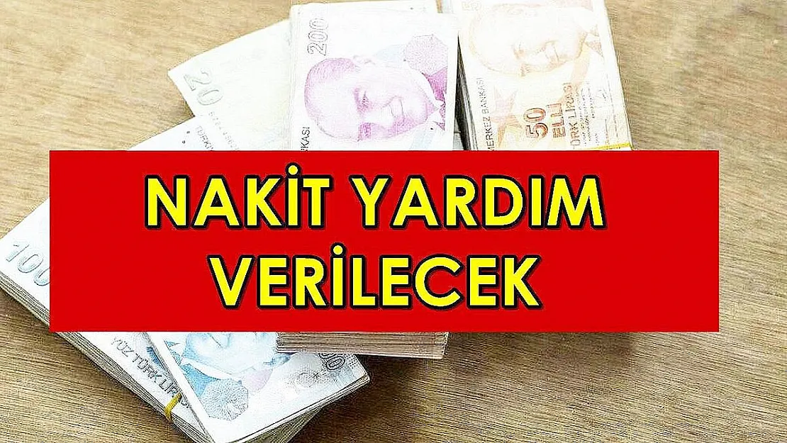 TC kimlik numarasının sonu 0 ve 2 ile bitenler! Öğleden sonra hesaplara para yatırılacak: Bakanlık müjdeyi verdi