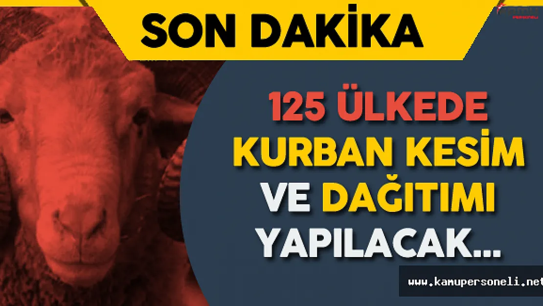 TDV 125 Ülkede Kurban Kesim ve Dağıtımı Yapacak