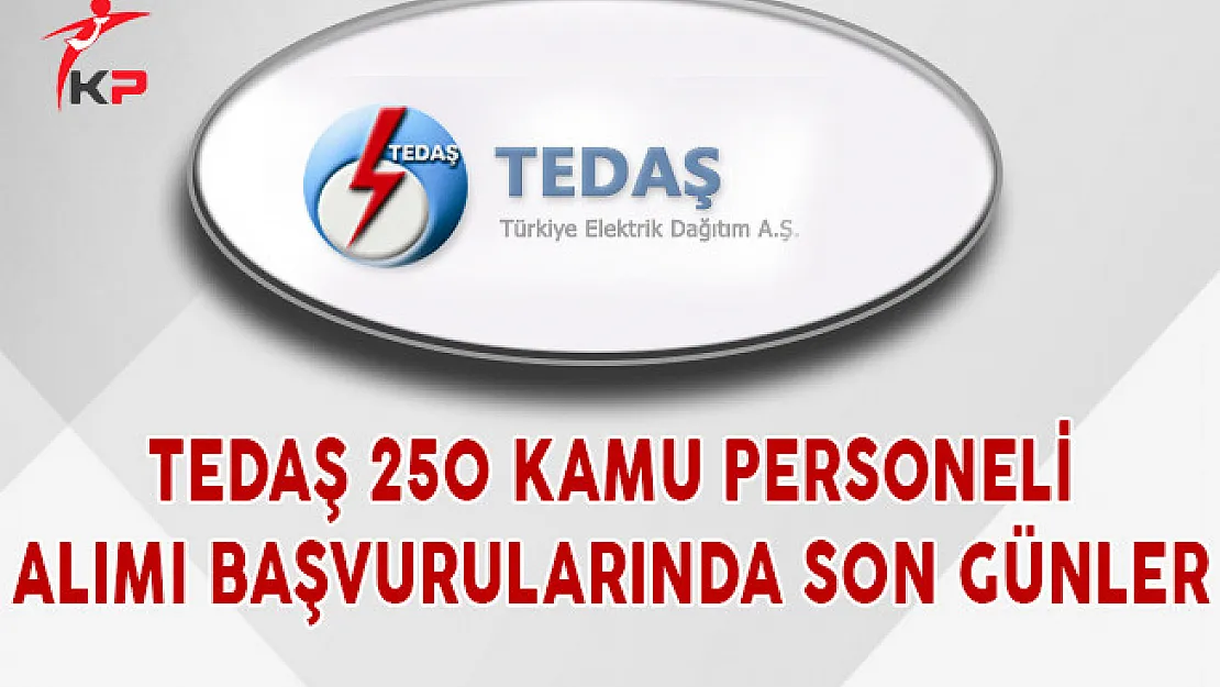 TEDAŞ 250 Kamu Personeli Alımı Başvurularında Son Günler