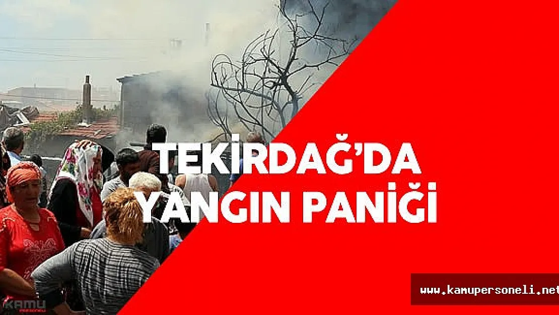 Tekirdağ'da Roman Evleri Kül Oldu