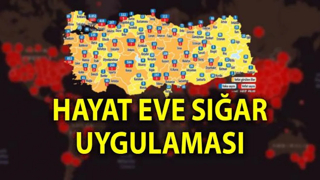 Telefonuna Hayat Eve Sığar uygulaması indir! Koronavirüs takip uygulaması yapıldı