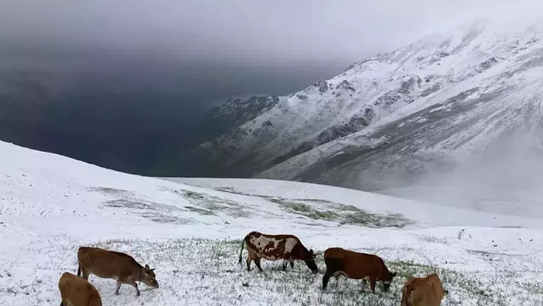 Temmuz Ayında Kar Sürprizi! 5 İl Beyaza Büründü, Yaylalar Kışa Döndü