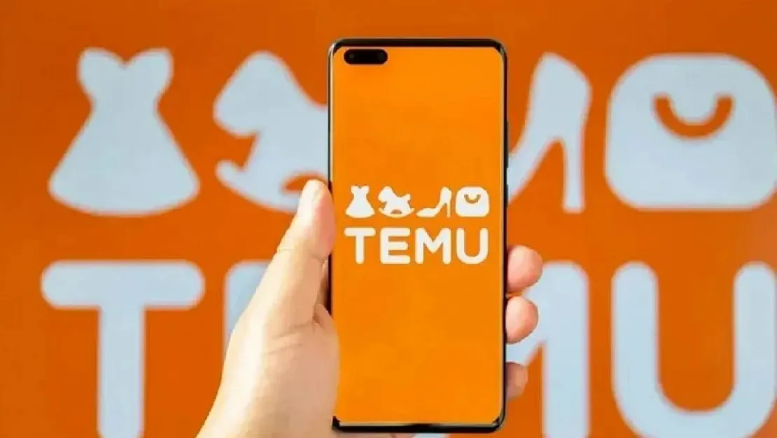TEMU'dan alışveriş yapanlara kötü haber! Belgesi olmayan ürünler türkiye'ye giremeyecek