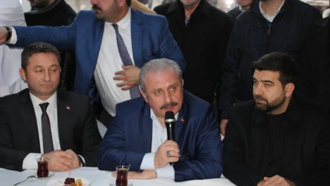 'Termik santral ÇED süreci durdurulmuştur'