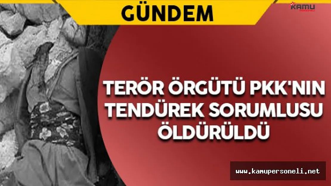 Terör Örgütü PKK'nın Sözde Tendürek Sorumlusu Öldürüldü