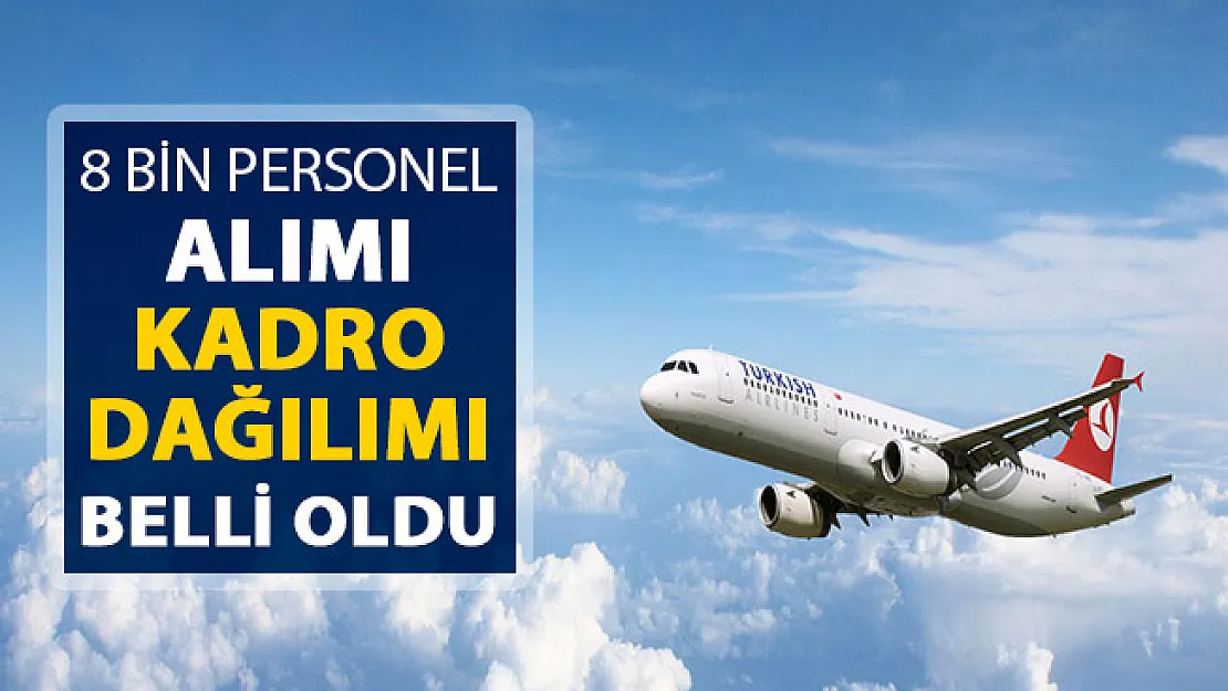 THY 2019 8 Bin Personel Alımı Hakkında Yeni Açıklama: Kadro Dağılımı Belli Oldu