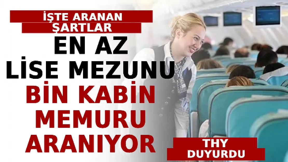 THY Duyurdu! En Az Lise Mezunu Bin Kabin Memuru Aranıyor! İşte Aranan Şartlar